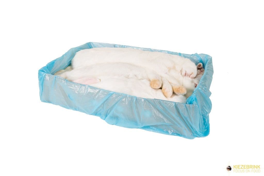 Kanin L 4-5,5 kg - 2 stk/kasse