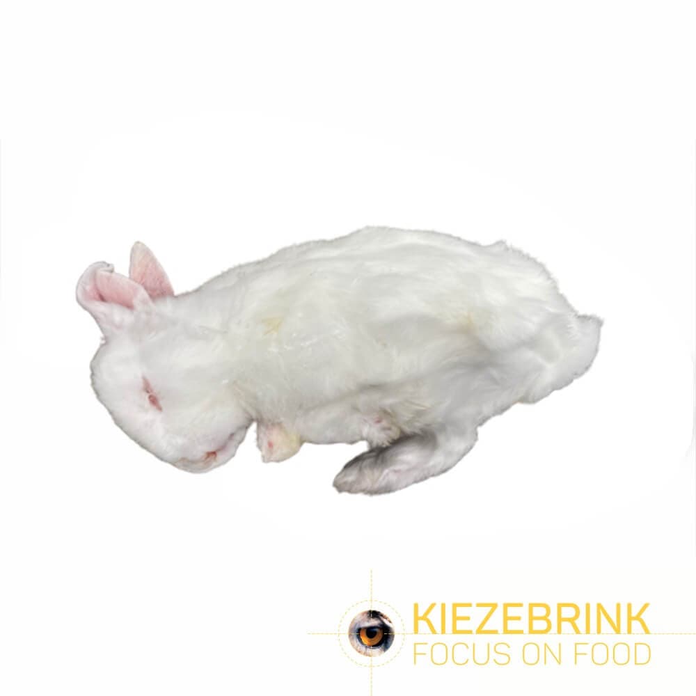 Kanin XS+ (300-500 g) - 24 stk./kasse