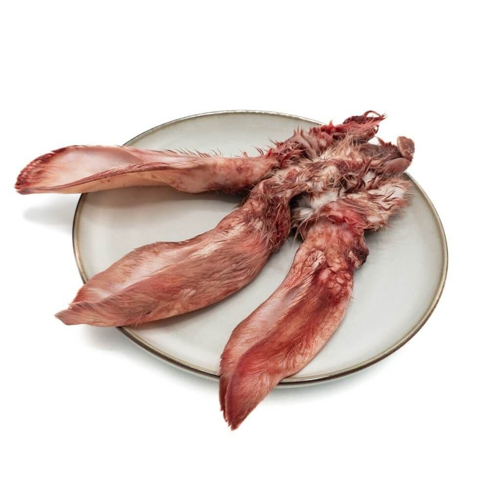 KB Ekstra - Kanin Øre