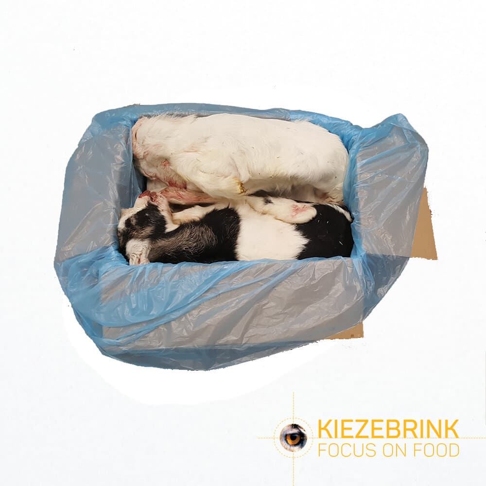 Gedekid - Cat. 2 - ca. 10 kg kasse