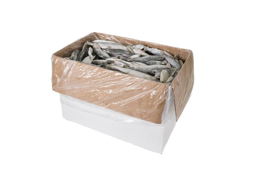 Sild IQF - 10 kg kasse