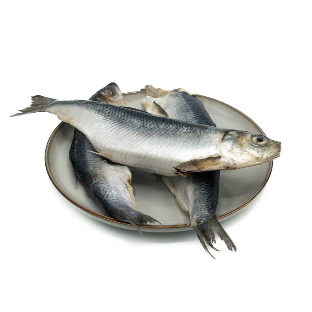 KB BARF - Sild