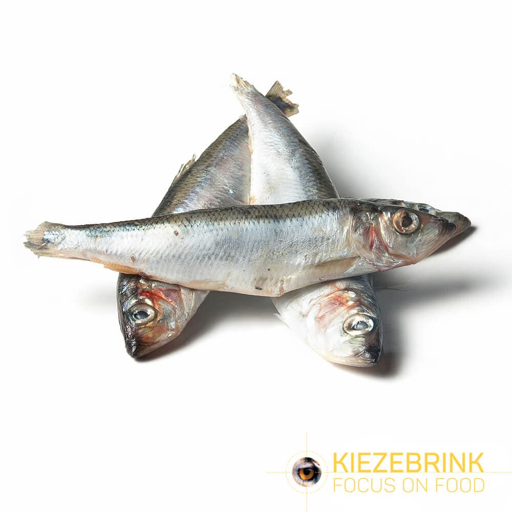 Sild store MSC - ca. 24 kg kasse
