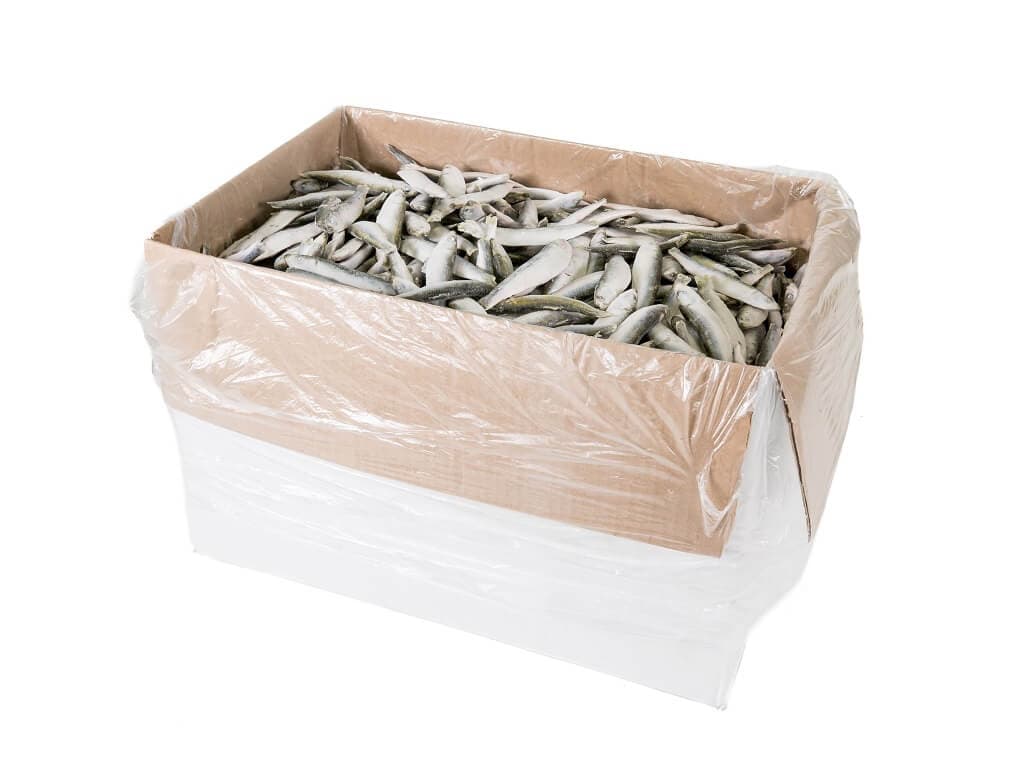 Sprot IQF - 10 kg box