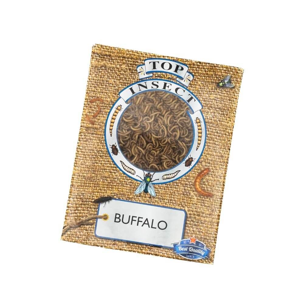 Buffalo Larver