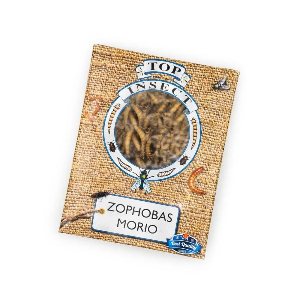 Zophobas-Morio-larver