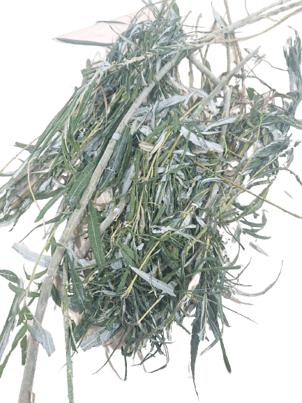 Pil frossen - ca. 300 kg