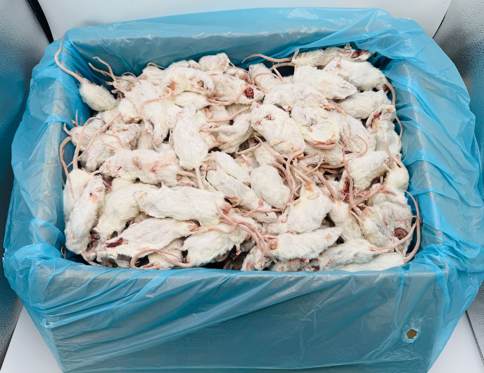 Mix mus 6-40 g (b-kvalitet)