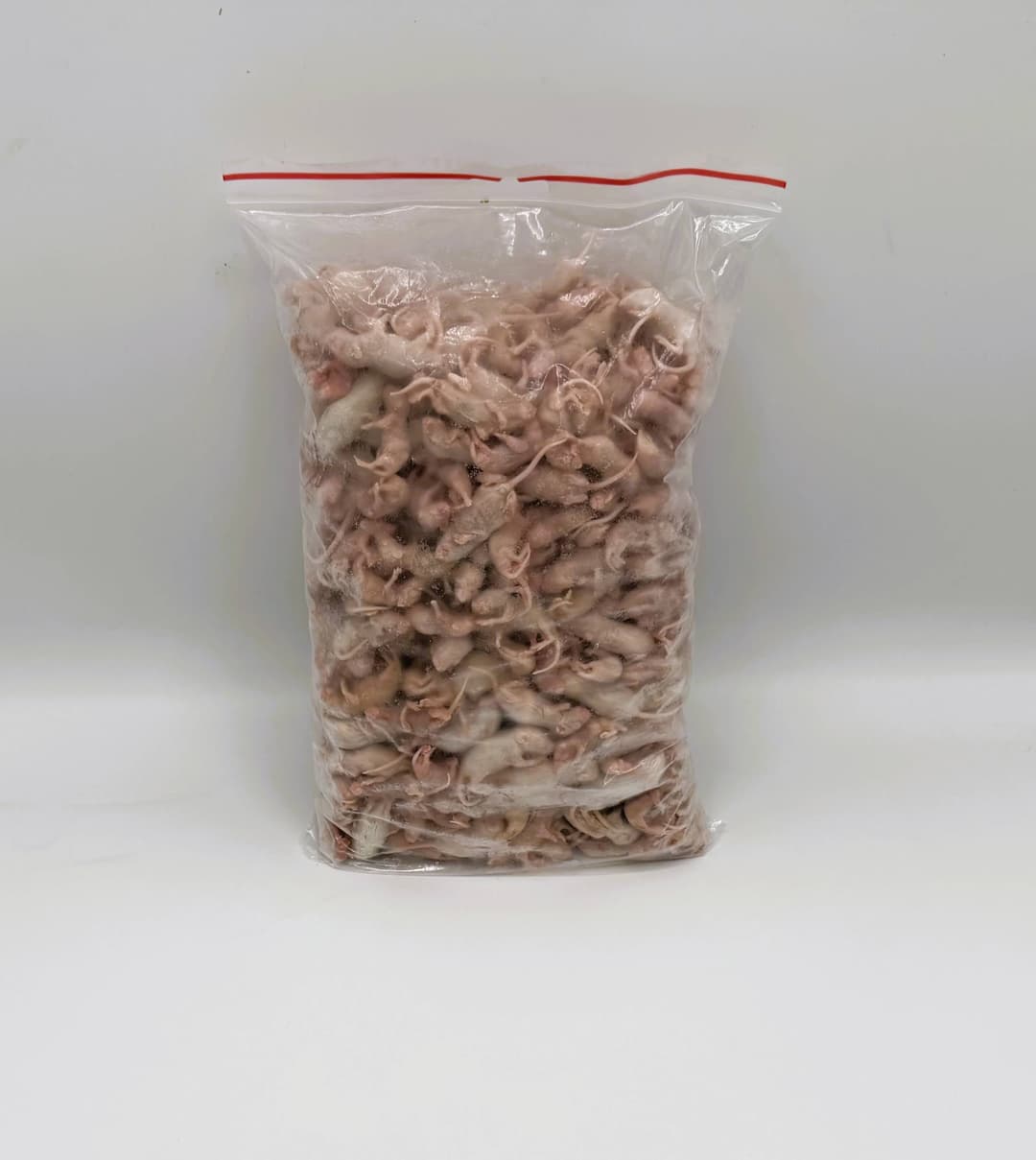 Mus pinky 1-4 g
