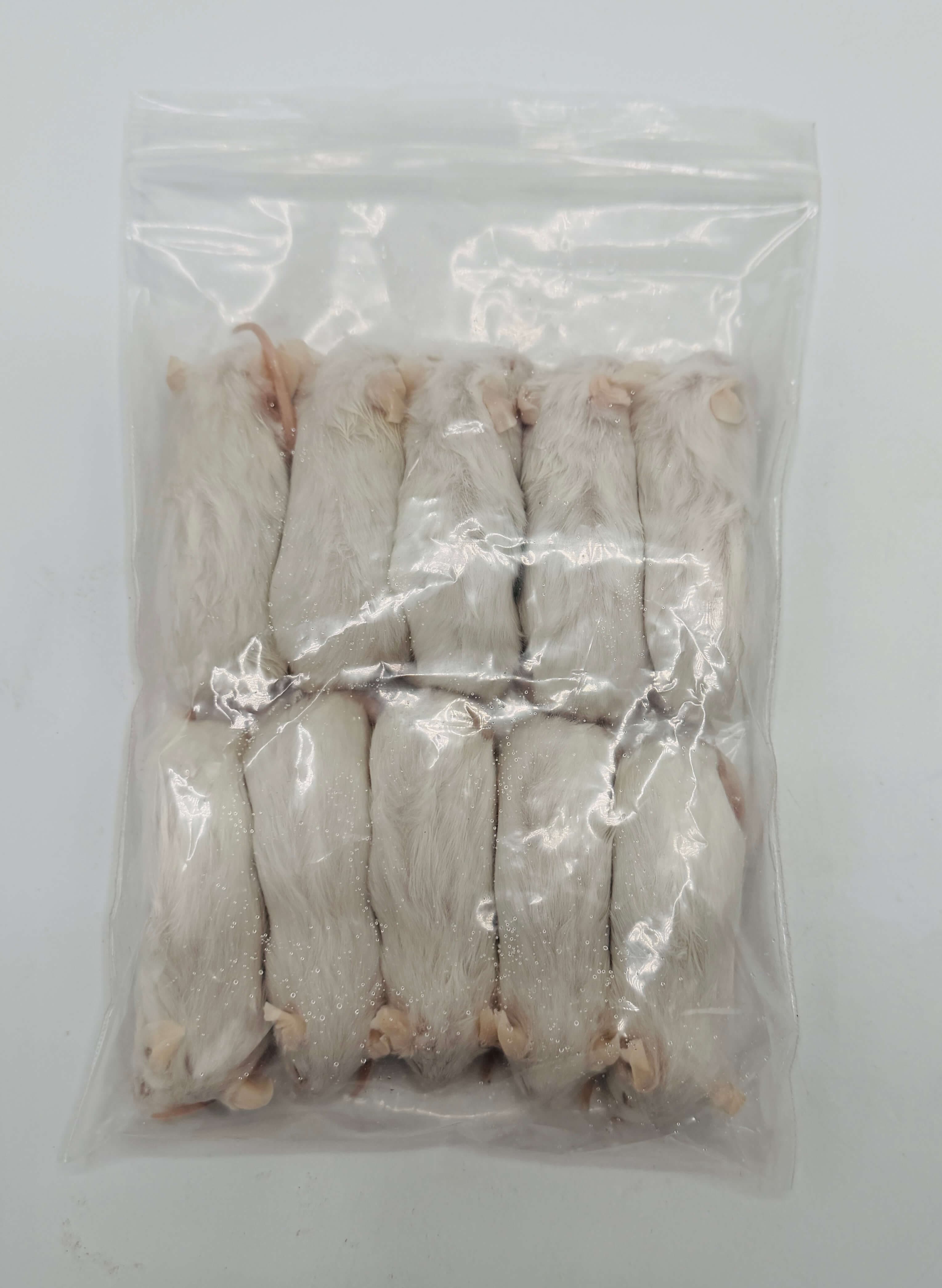Store Mus (23-30 g)
