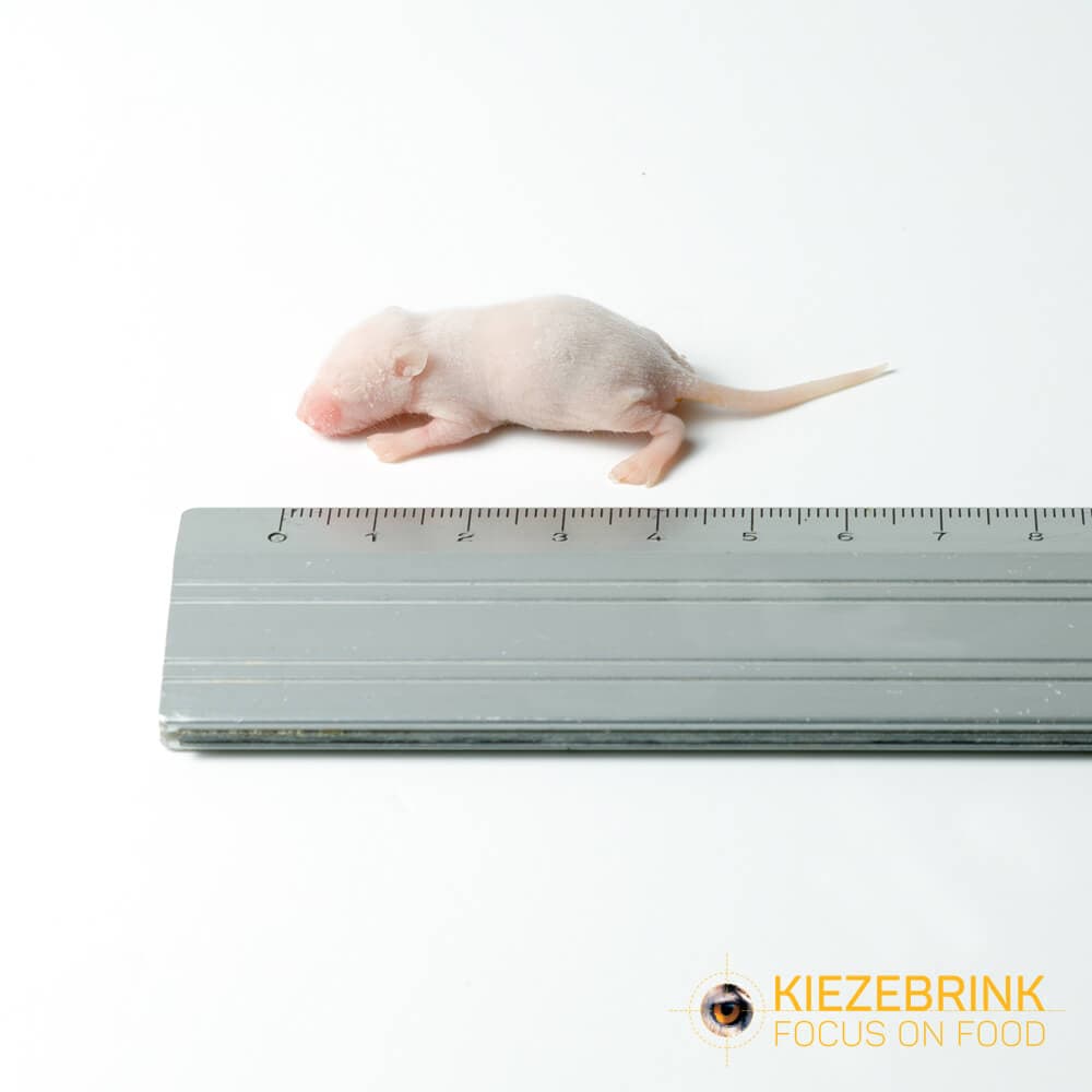 Baby Mus XXL (3-4 g)