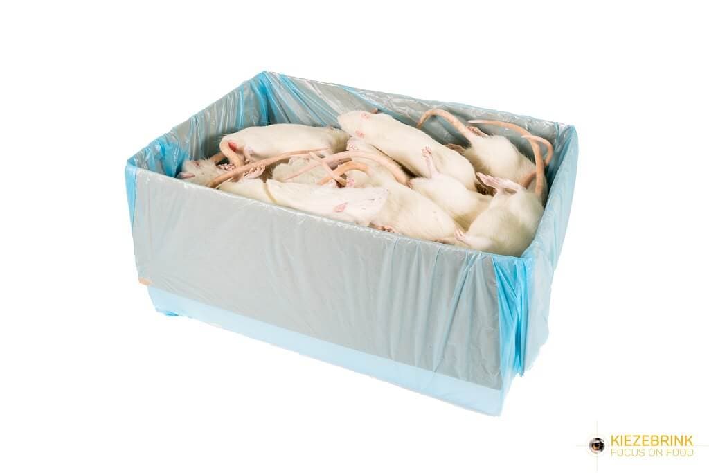Jumbo Rotter (ca. >350 g)