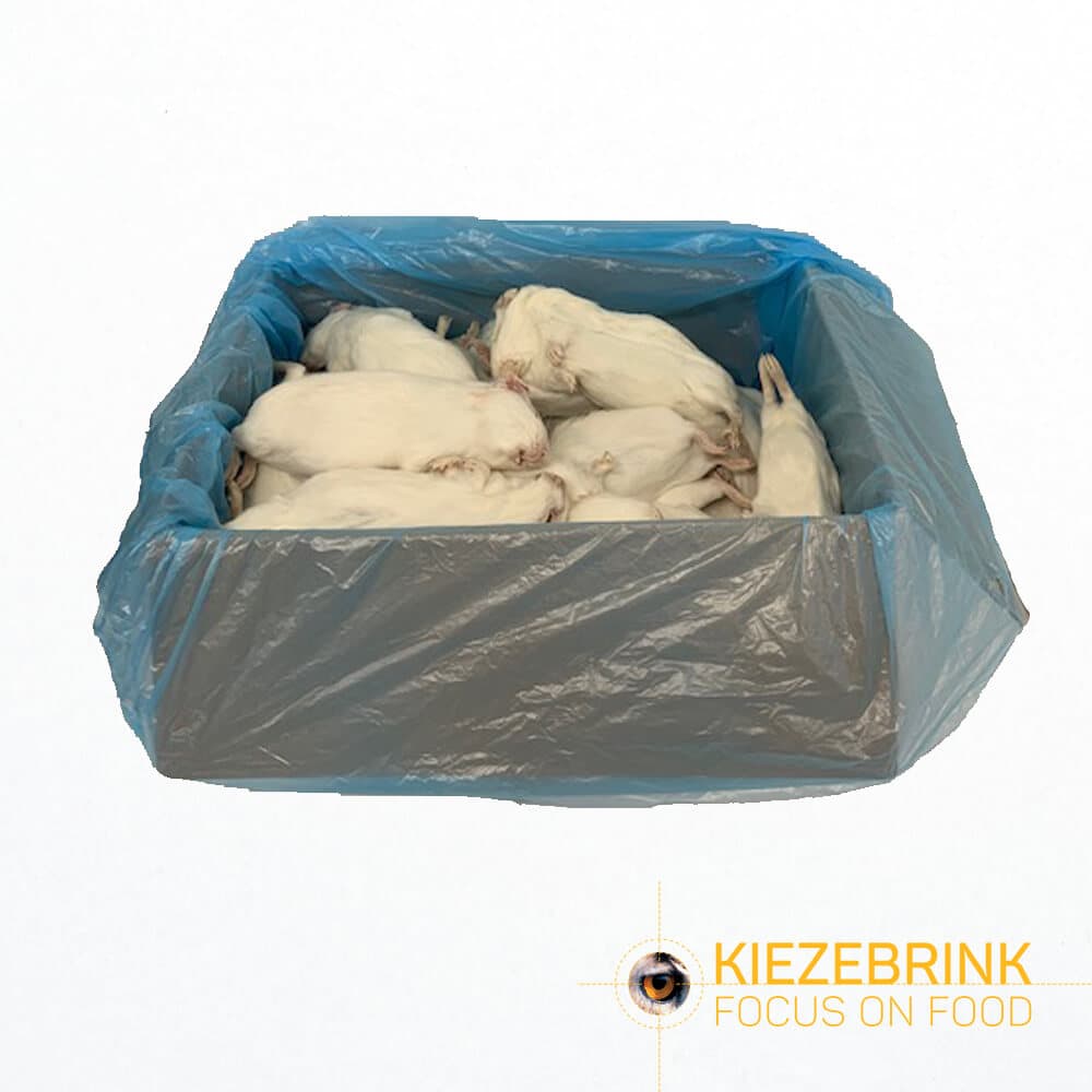 Guinea Pig Medium (300-600 g)