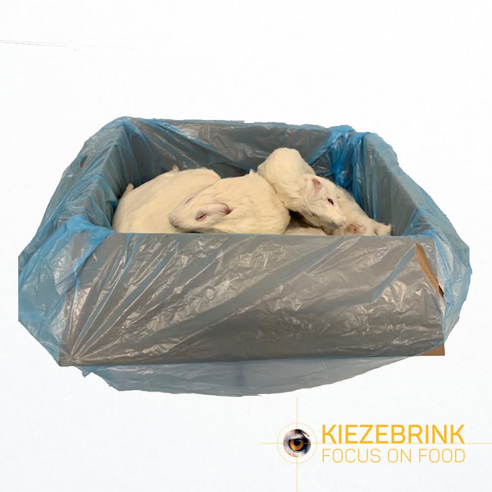 Marsvin Store (>600 g)