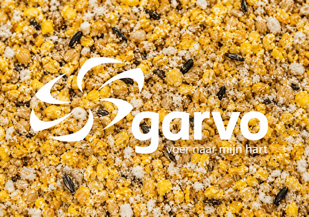 Garvo Solution Egg Food (fat) | 3868