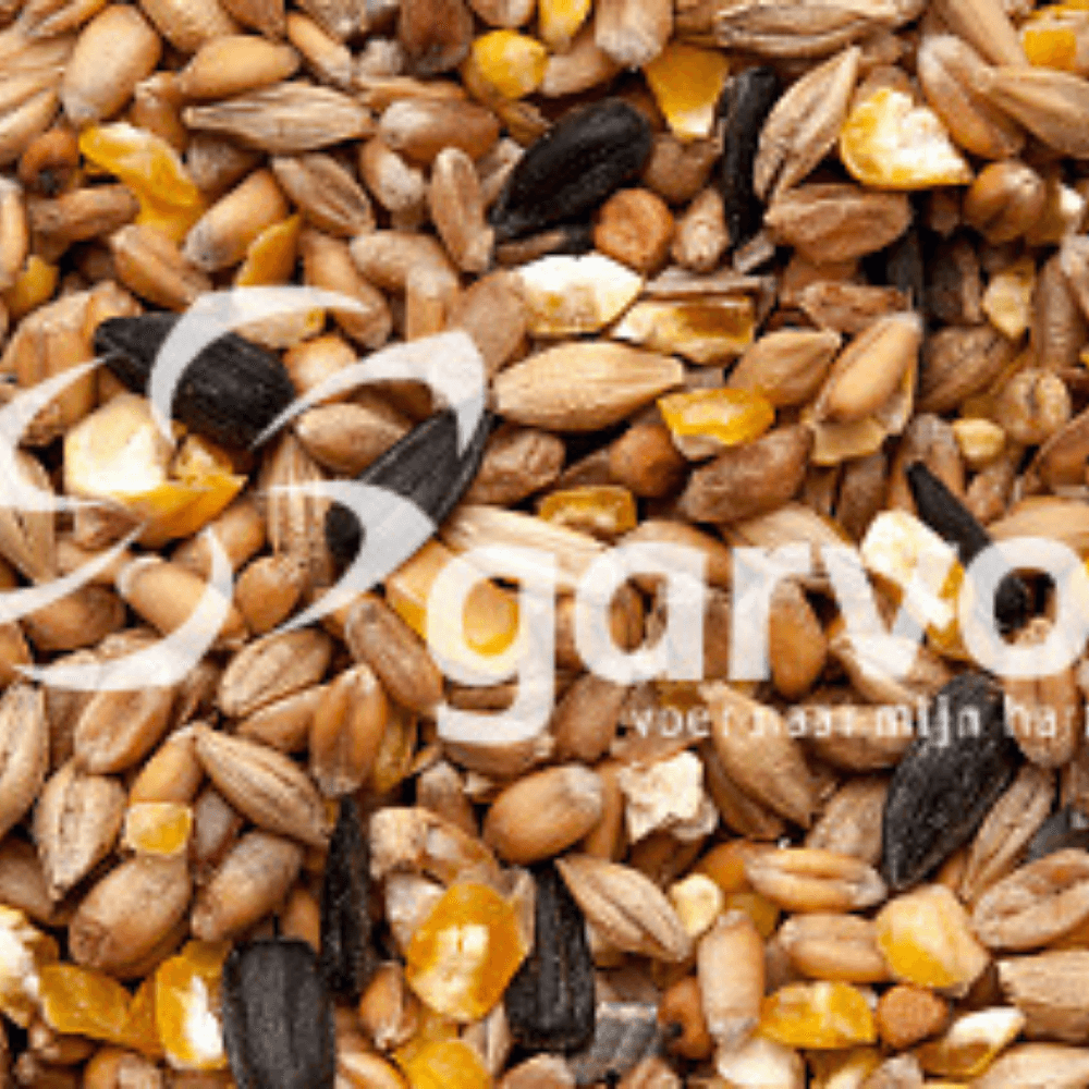 Mixed Corn + Seashells + Sunflowerseeds