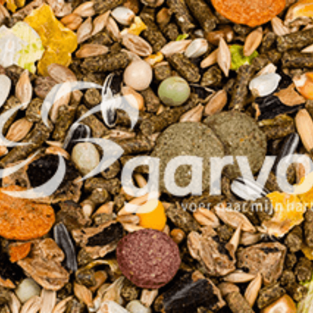 Kanin mix med gullerodsflager