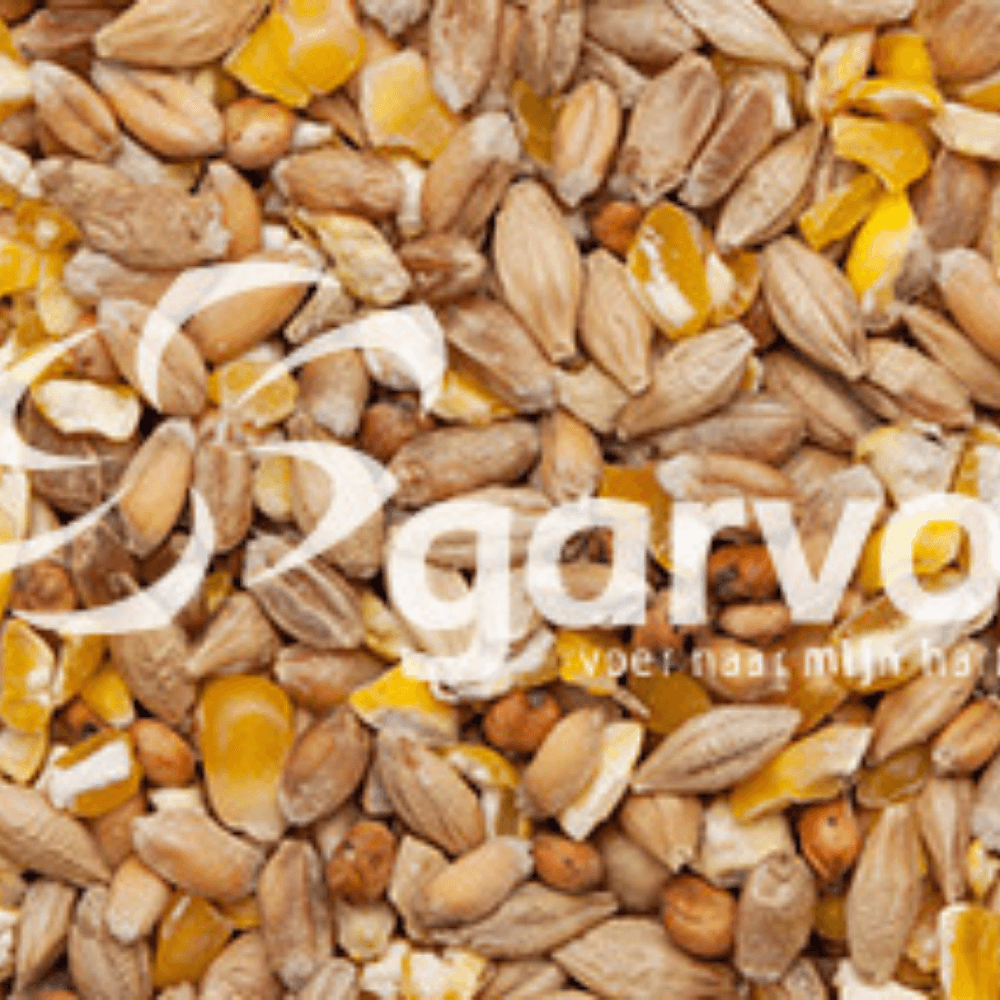 Blanede korn med knækket majs