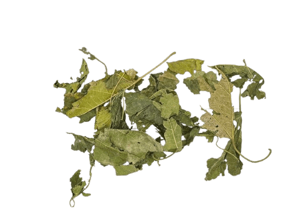 Morbærblad - 12 kg sæk