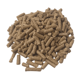 Zoo-Line Old World Primate