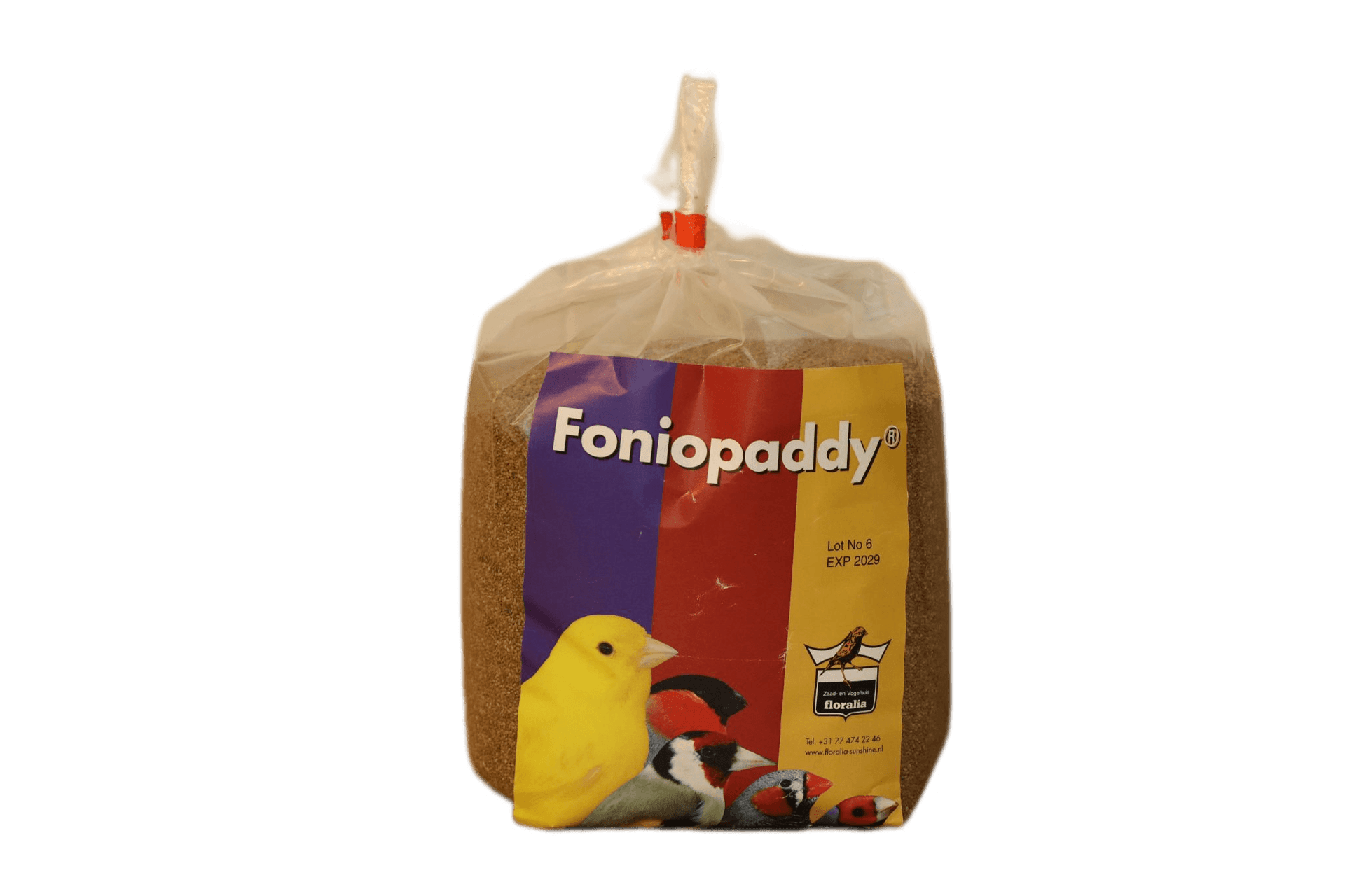 Fonio Paddy