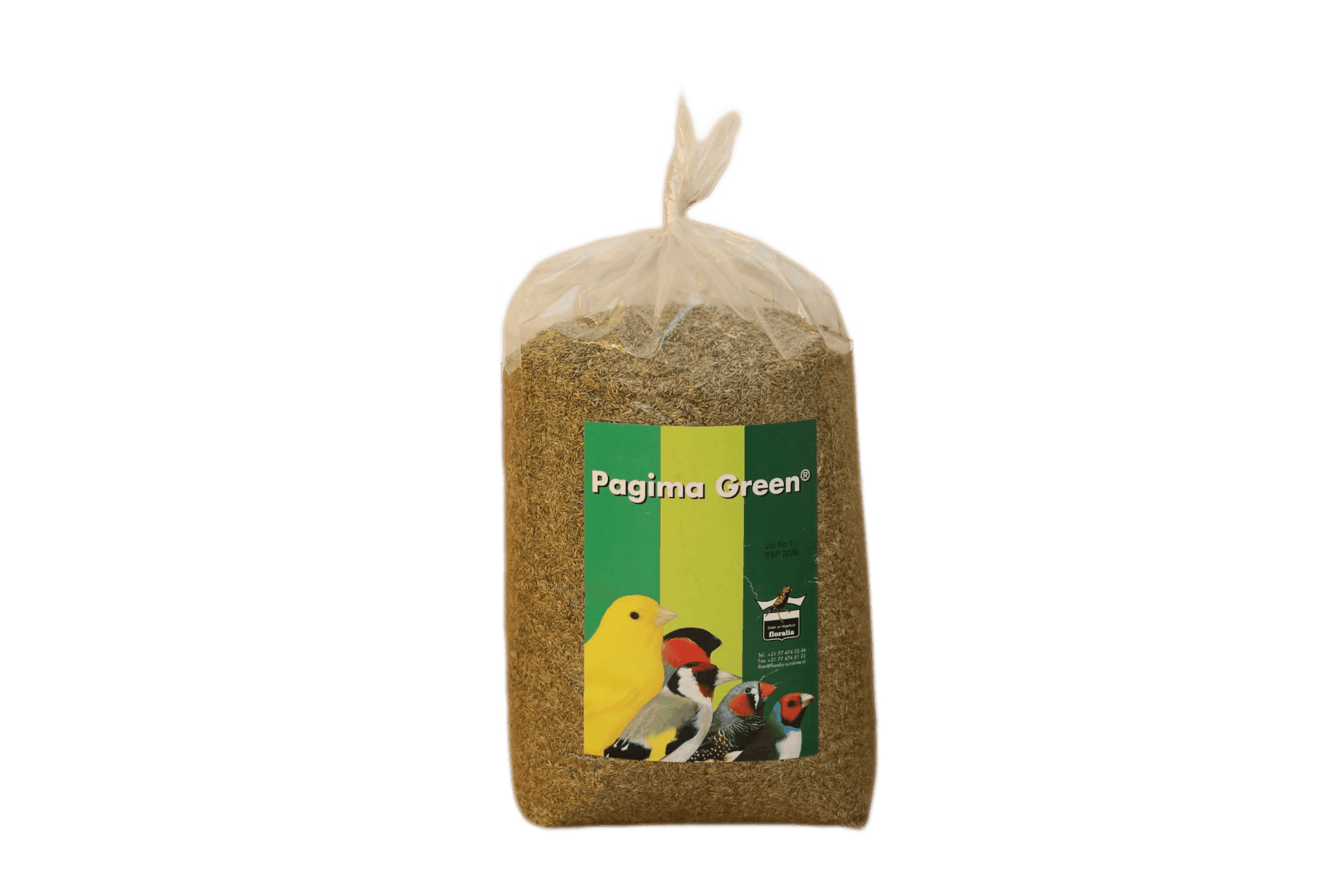 Pagima Green