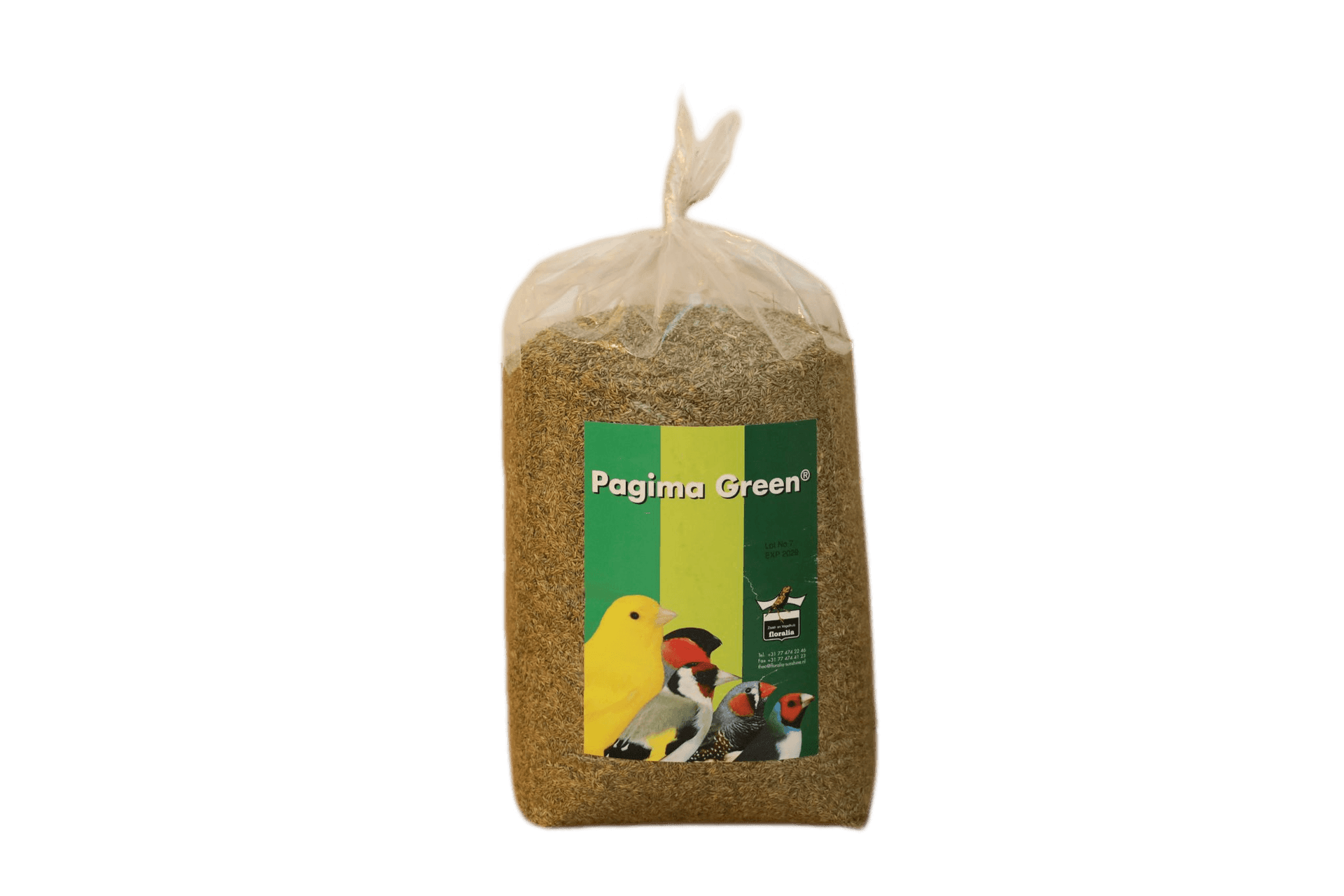 Pagima Green