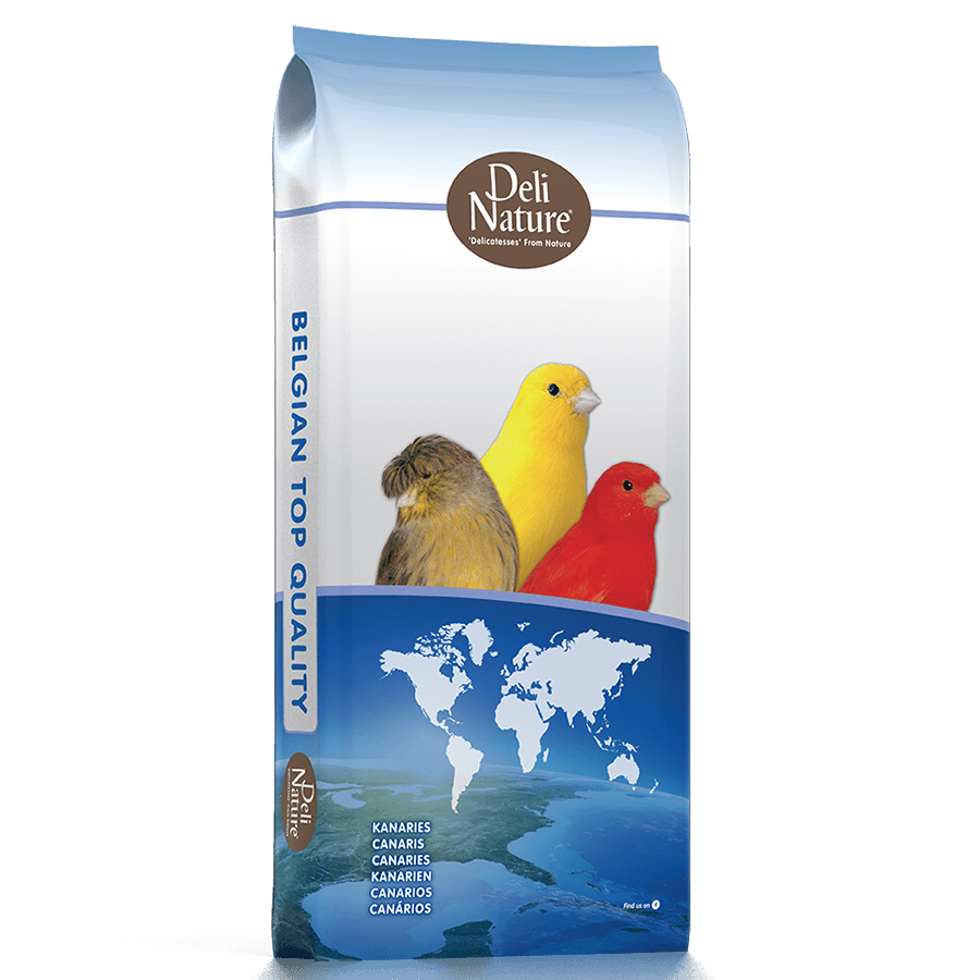 Nr 55 Canaries Supreme