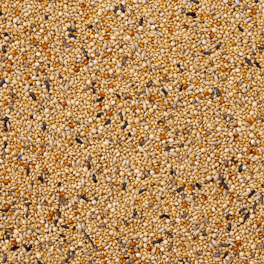 nd056-03494c7dfeddee4d21eccb0f34a4dbdd.png