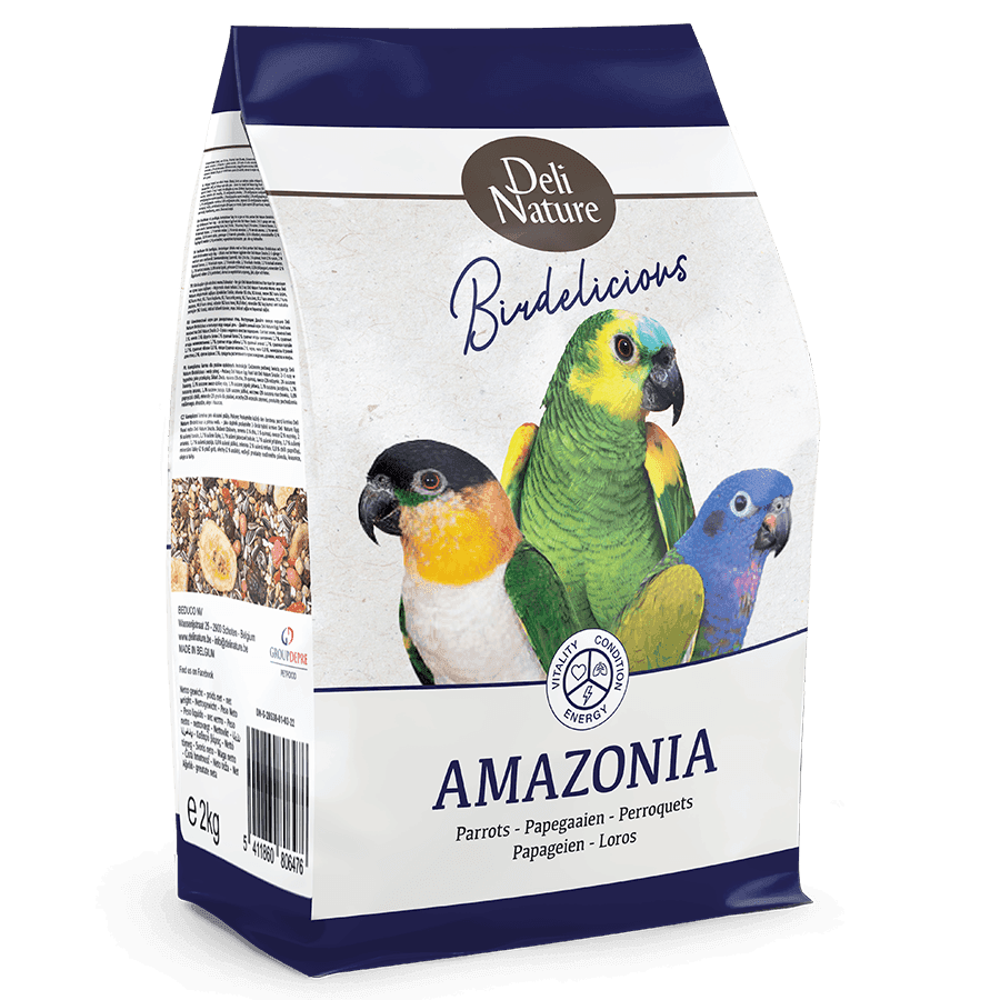 Birdelicious Papegøje Amazonia