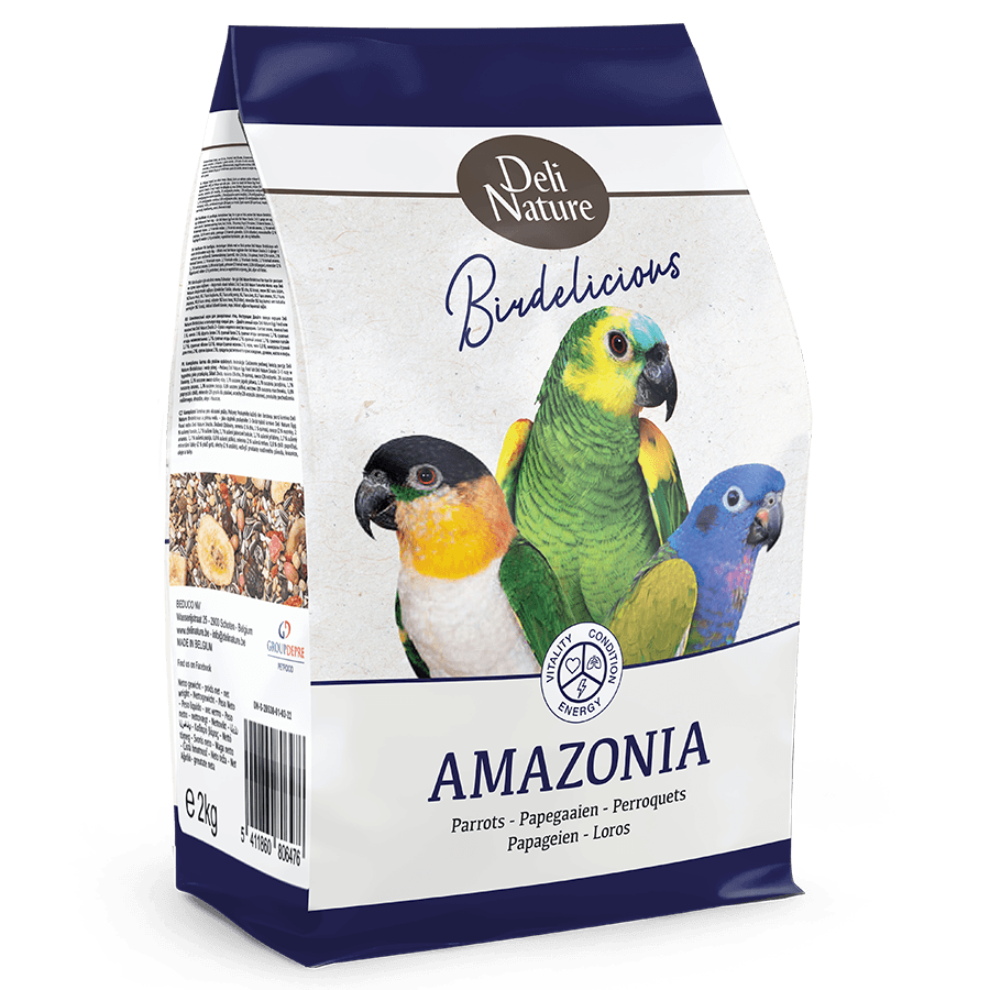 Birdelicious Papegøje Amazonia