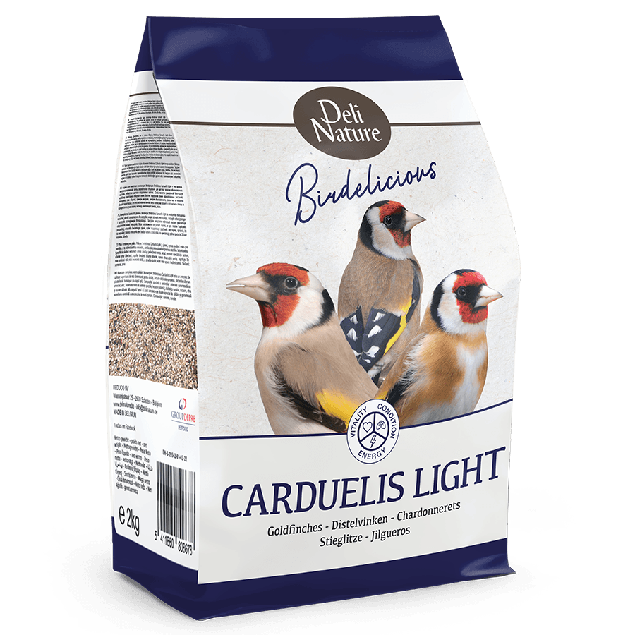 Birdelicious Carduelis light - Goldfinches light