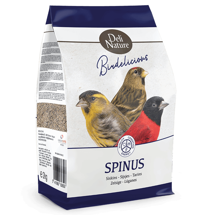 Birdelicious Spinus - Sisken