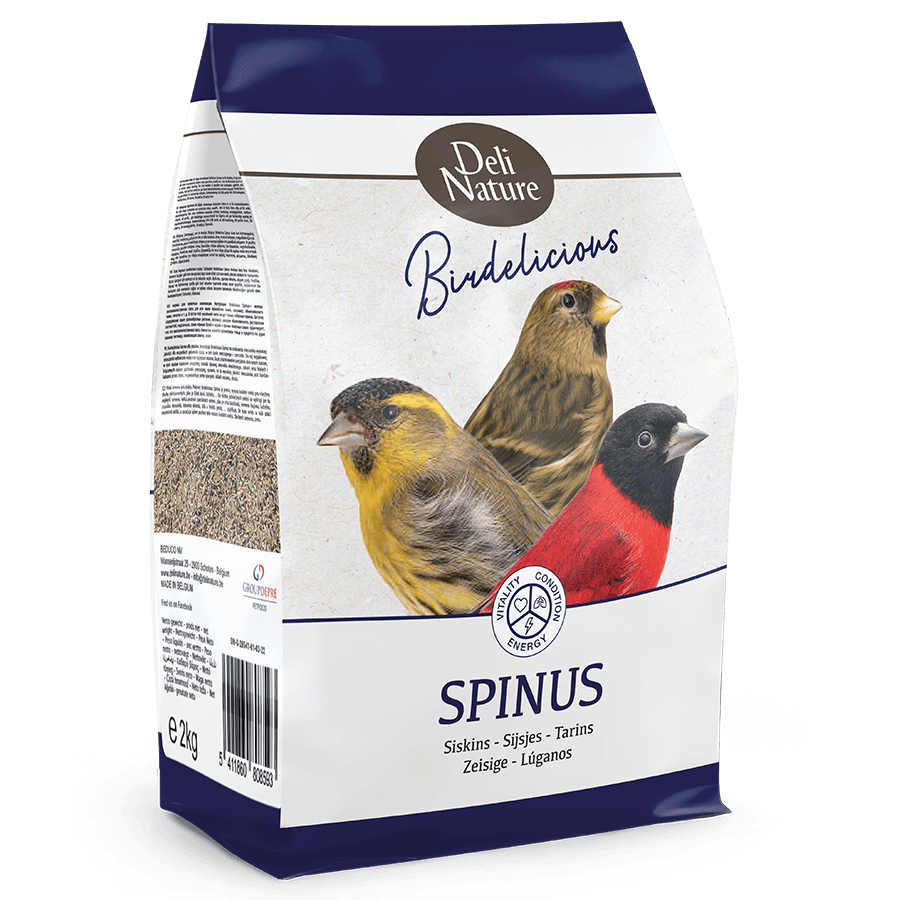 Birdelicious Spinus - Sisken