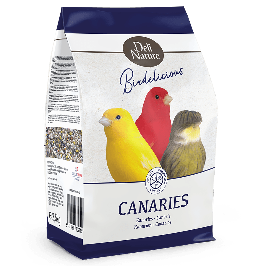 Birdelicious Canaries
