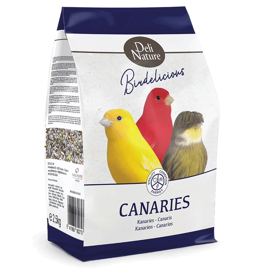Birdelicious Kanarie