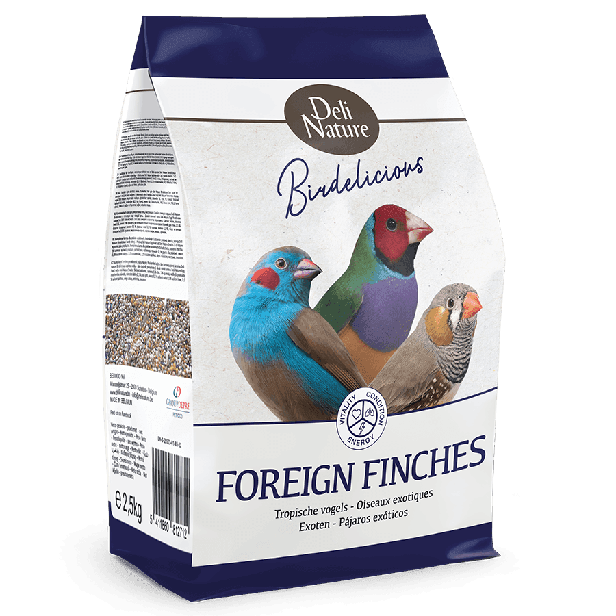 Birdelicious Udenlandske Finker
