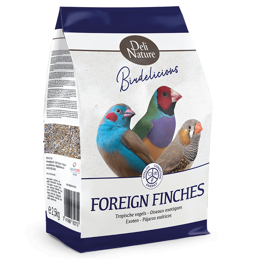 Birdelicious Forin finches
