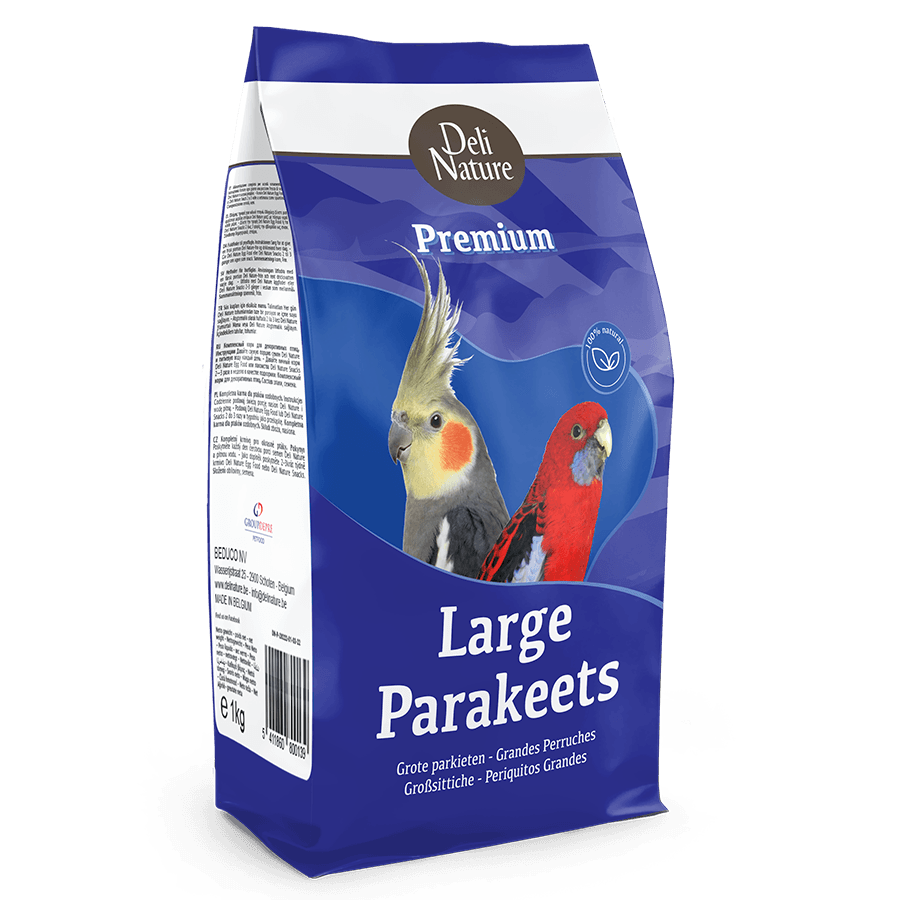 Premium Large parakeets