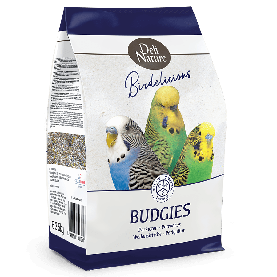 Birdelicious Budgies