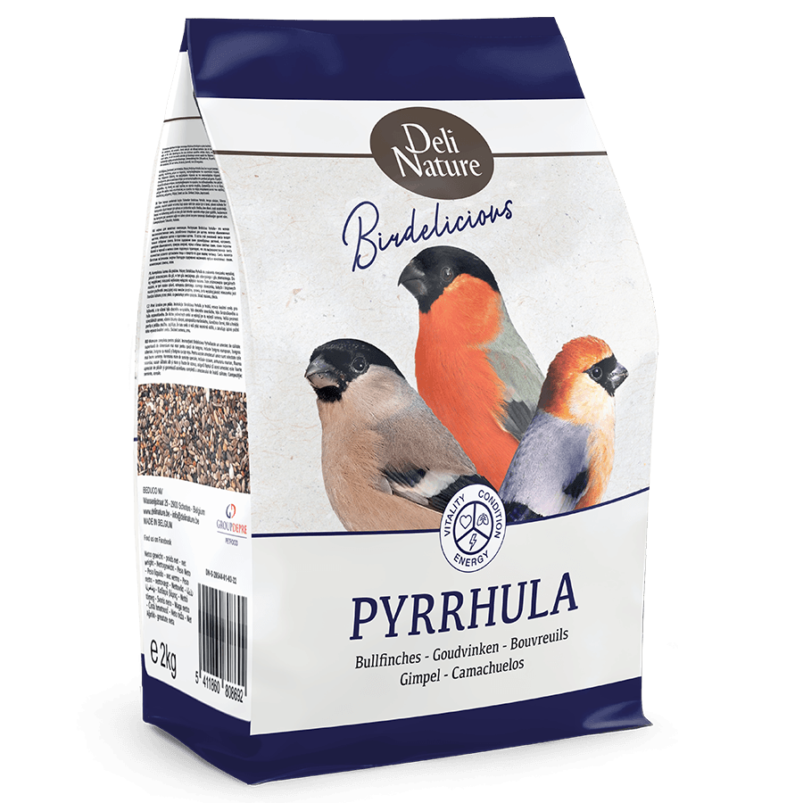 Birdelicious Goldfinches