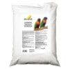 Lory Dry