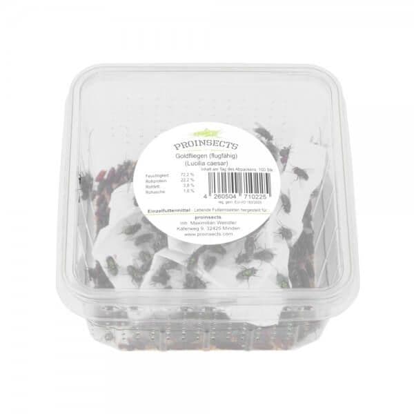 Green Bottle Fly (ca. 100 pcs)