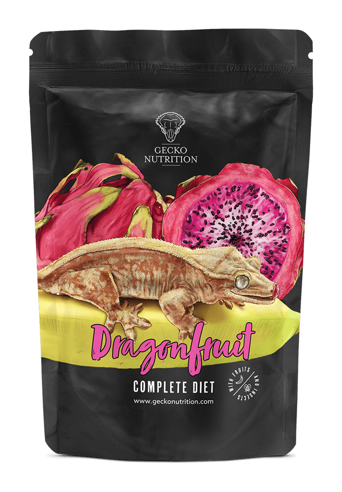 Gecko nutrition dragefrugt