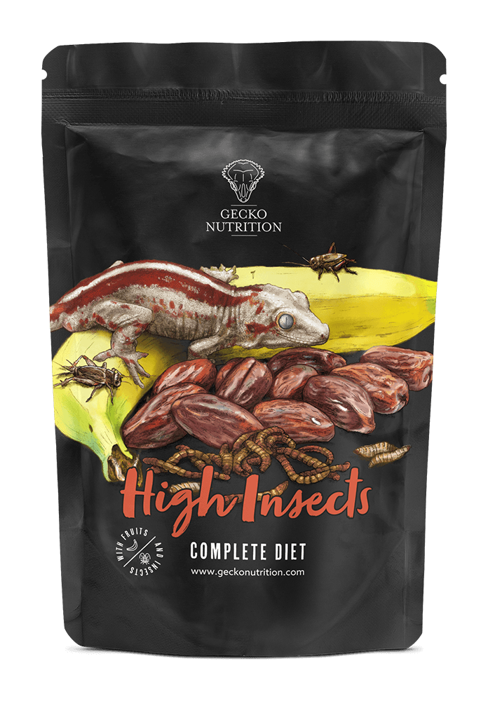 Gecko nutrition high insects