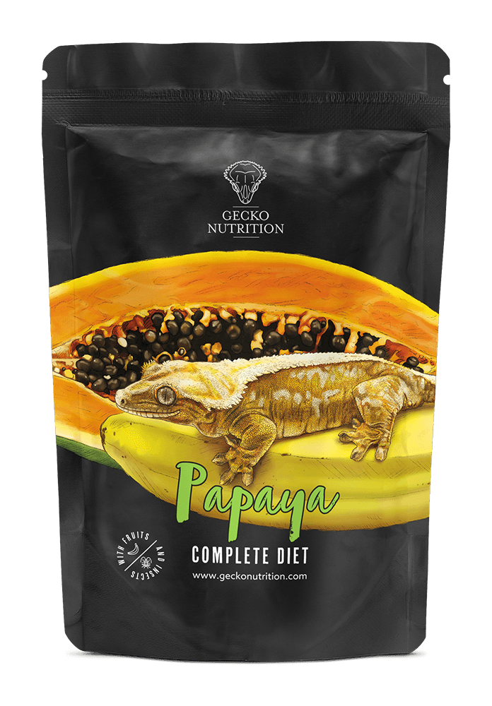 Gecko nutrition papaya