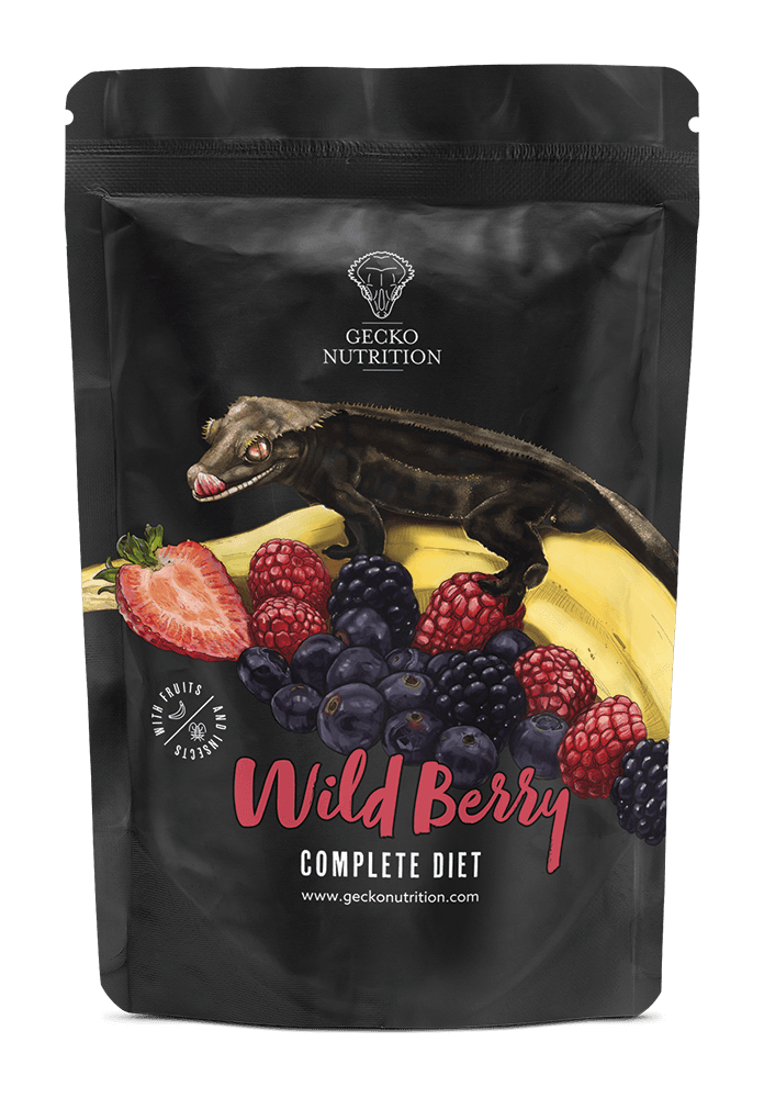 Gecko nutrition banana/wild berries