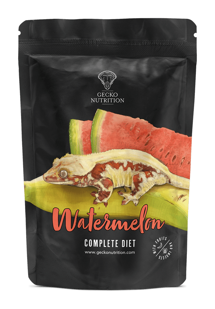 Gecko nutrition vatermelon