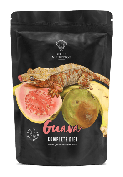 Gecko Nutrition Guava