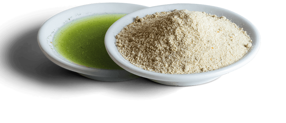 Wisbroek Lory Nectar 800 g